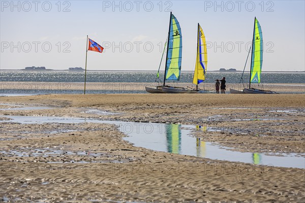 Small sailing boats on the beach, catamaran, behind Halligen, backlight, sunny, summer, North Sea