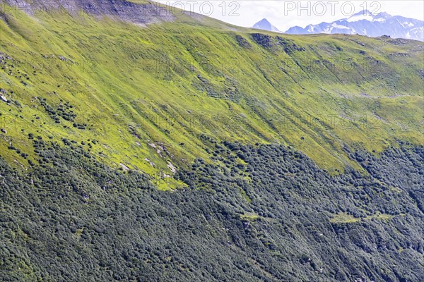 Landscape of the Swiss Alps above the tree line. Mountain slope on the Furka Pass near Obergoms,