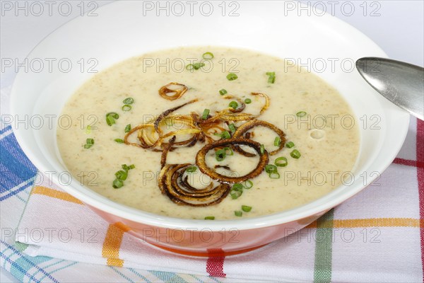 Swabian cuisine, green spelt soup, healthy, vegetarian, regional, soup served in a bowl, home
