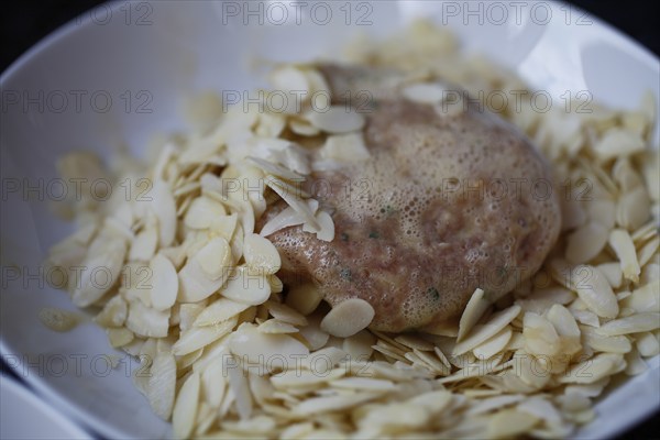 Swabian cuisine, preparation of meatballs in almond coating, mixed minced meat, raw, meatball with