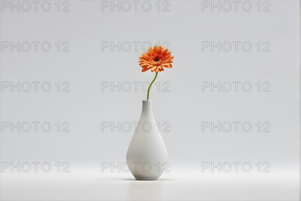 Minimalist ceramic vase composition with a single flower, AI generated
