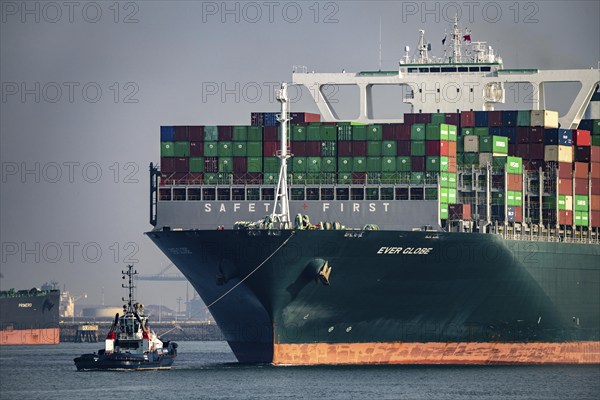 Harbour tugs bring the container freighter Ever Globe to its berth at Hutchison Ports ECT Euromax,
