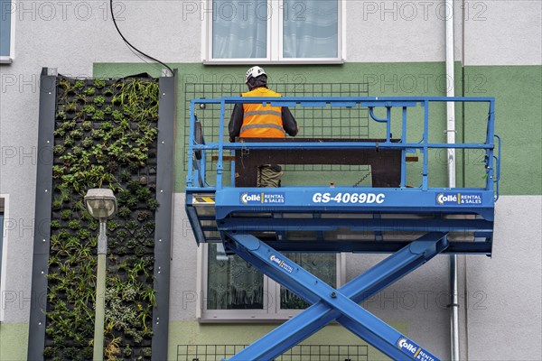 Installation of façade greenery on 4 apartment blocks on Gladbecker Straße, B224, to filter