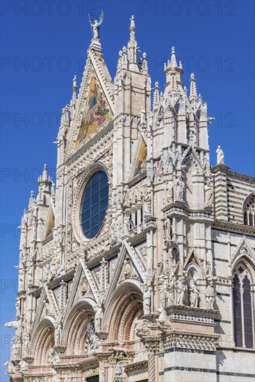 Cathedral, old town, architecture, landmark, travel, tourism, blue sky, Siena, Tuscany, Italy,