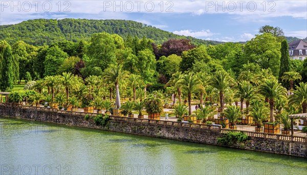 Castle moat with palm garden in the spa gardens, the largest outdoor palm garden north of the Alps,