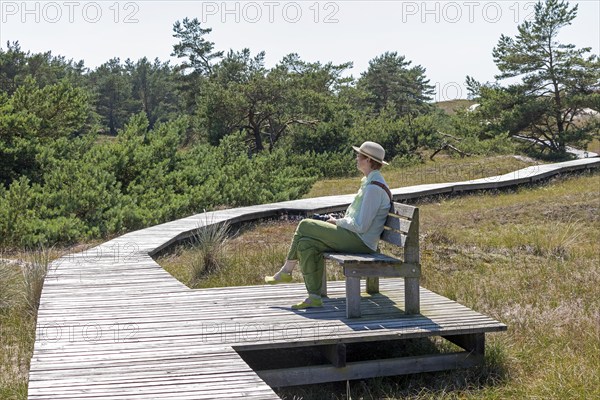 Elderly, woman sitting on bench, wooden footbridge, reed grass, trees, circular hiking trail,