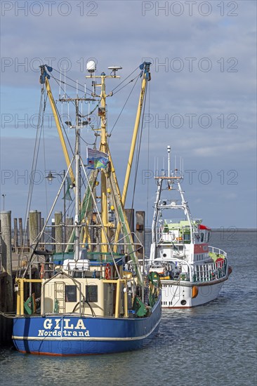 Fishing cutter, SAR boat, harbour, Strucklahnungshörn, Nordstrand, North Frisia,