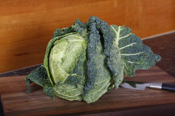 Swabian cuisine, preparation of savoy cabbage, wild boar medallions with savoy cabbage cakes,