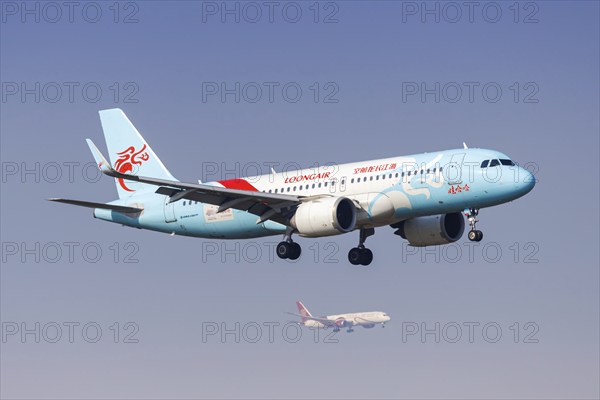 A Loongair Airbus A320neo aircraft with the registration B-307G at Pudong Airport (PVG) in