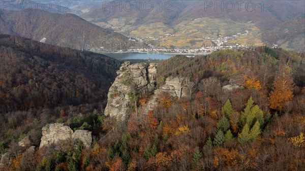 Hoher Stein in autumn, climbing rock, Oberarnsdorf, Wachau, Lower Austria, Austria, Europe