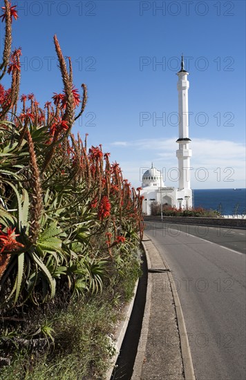 Mosque of the Custodian of the Two Holy Mosques, Europa Point, Gibraltar, British overseas