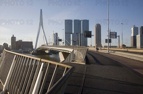 Erasmus Bridge, Erasmusbrug, spanning the River Maas designed by architect Ben van Berkel completed