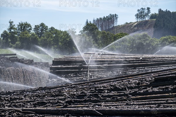 Wet wood storage of a sawmill, timber that is stored longer is sprinkled with water so that the