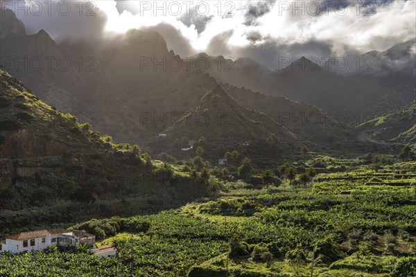 Landscape in the valley of Hermigua, La Gomera, Canary Islands, Spain, Europe
