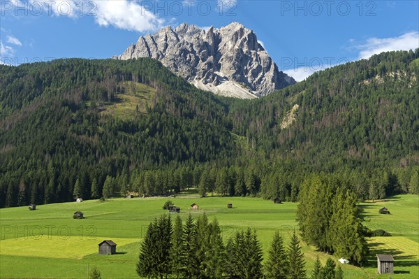 Alpine landscape with green alpine meadows, forest belt and summit massif of the