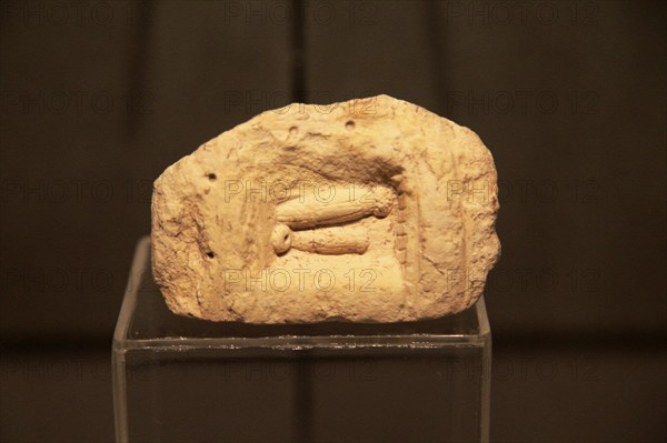 Carved stone penis shapes, National Museum of Archaeology, Valletta, Malta, Europe