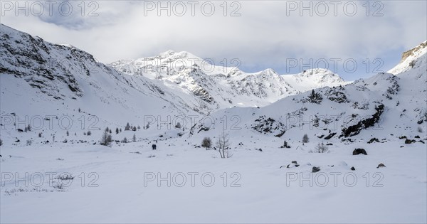 Snow-covered mountain landscape, mountain peak Monte Cevedale, Hinteres Martelltal, Ortler Alps,