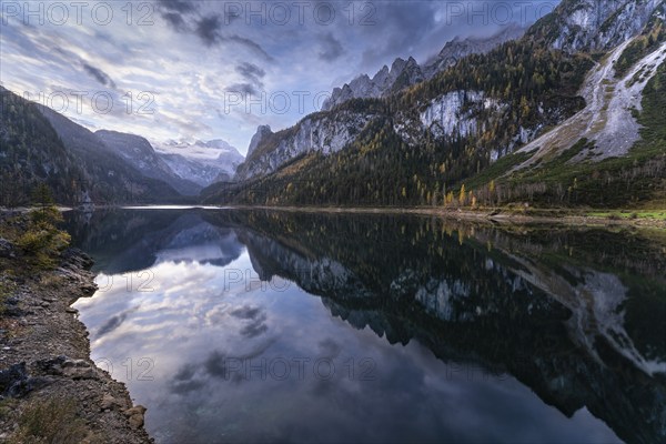 The Vordere Gosausee lake in the morning in autumn with a view of the Dachstein mountain range. The