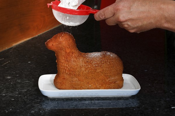 Swabian cuisine, baking, preparation of Easter lamb, baked dough dusted with icing sugar, sweet