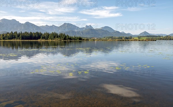 Hopfensee, Hopfen am See, near Füssen, Allgäu Alps, East Allgäu, Allgäu, Bavaria, Germany, Europe