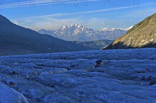 Morning on the jagged ice of the Great Aletsch Glacier, view of the ridge of the Valais Alps,
