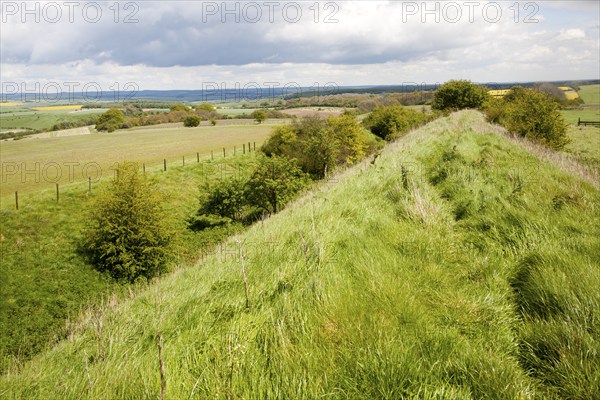Ditch and embankment of the Wansdyke a Saxon defensive structure on All Cannings chalk downs near