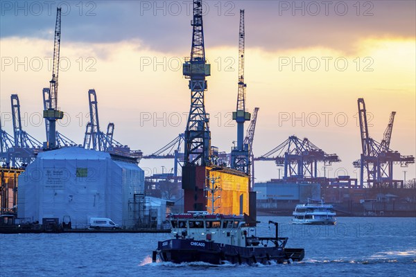 Port of Hamburg, view of the Blohm + Voss shipyard, Dock 11, evening, cranes of the container