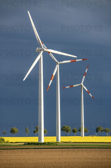 Wind turbines on a rape field, dark rain clouds, in the Rhenish lignite mining area, near