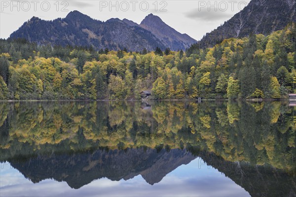 Freibergsee lake in autumn, near Oberstdorf, with the Allgäu Alps behind it, Allgäu, Bavaria,