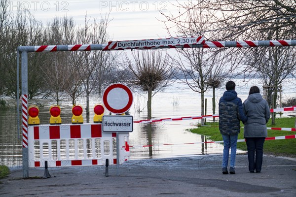 Flood on the Rhine, flooded banks of the Rhine, old ferry landing stage, Rhine meadows, near