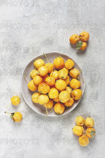 Yellow small apples, Chinese variety, on a gray plate, top view, no people