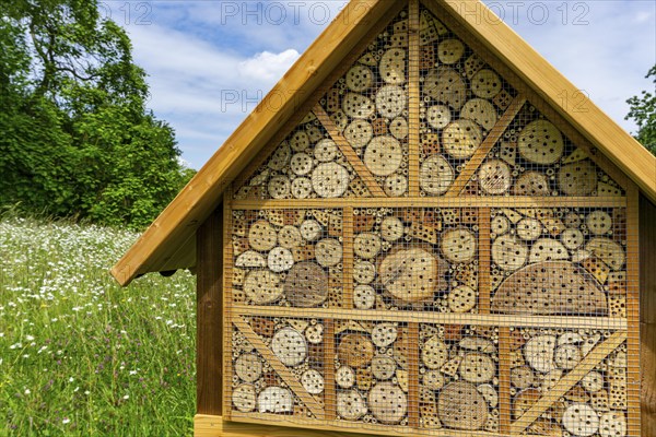 Insect hotel, wildflower meadow at the park cemetery in Essen, the city's largest cemetery, North