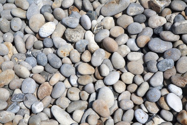 Close up rounded pebbles on shingle beach, Chesil Beach, Chiswell, Isle of Portland, Dorset,
