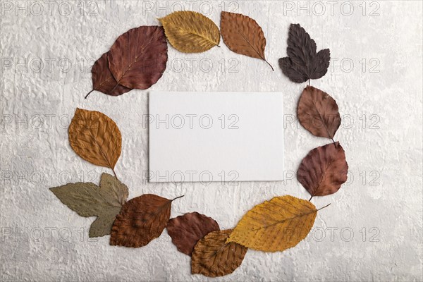Wreath circle composition with yellow and brown autumn leaves and white business card, round frame