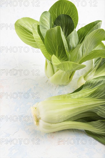 Fresh green bok choy or pac choi chinese cabbage on a white concrete background. Side view, close