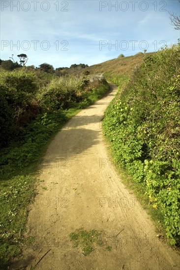 Footpath leading uphill into the centre, Island of Herm, Channel Islands, Great Britain