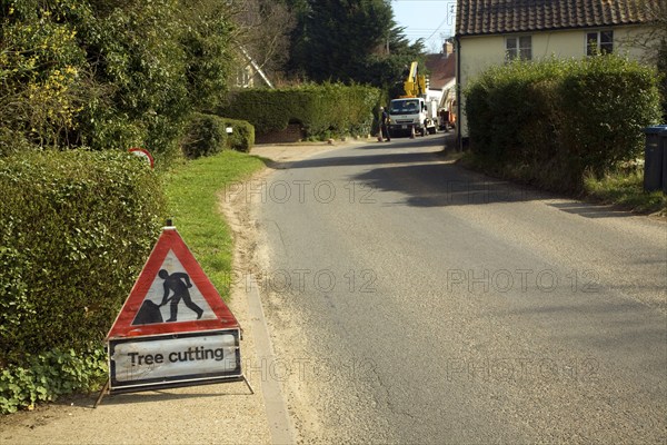 Tree cutting red triangular road sign in village street, Shottisham, Suffolk, England, United