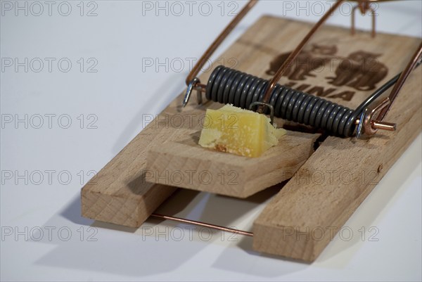 Mousetrap with piece of cheese
