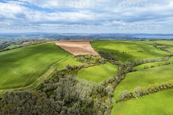 Forest, Farms and Farms over Long Wood and River Dart from a drone, Dartmouth, Kingswear, Devon,