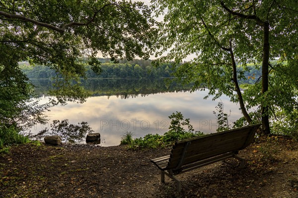 The Möhnesee, reservoir in the northern Sauerland, branch of the Hevesee, Kleine Schmalenau bay,