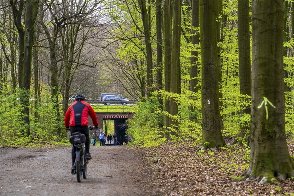 The Sterkrader Wald in Oberhausen, at the Oberhausen motorway junction, where the A2/A3A/A516 meet,