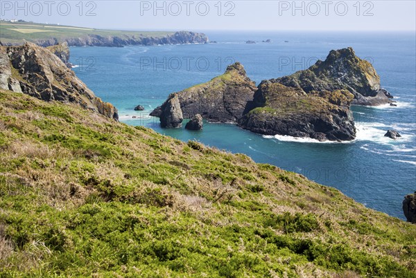 Coastal scenery, near Kynance Cove, Lizard peninsula, Cornwall, England, UK, Gull Rock and The