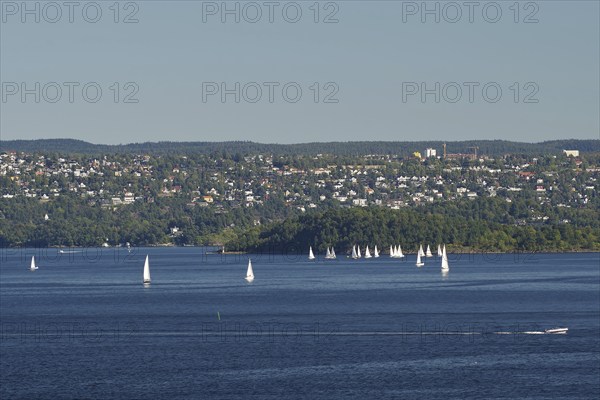 A few sailboats float calmly on the water, in front of a hilly cityscape under a clear sky,