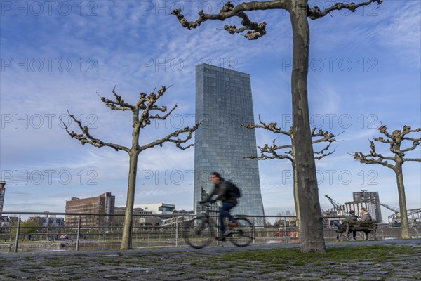 Building of the European Central Bank, ECB, cycle path on the Main in Frankfurt, Hesse, Germany,