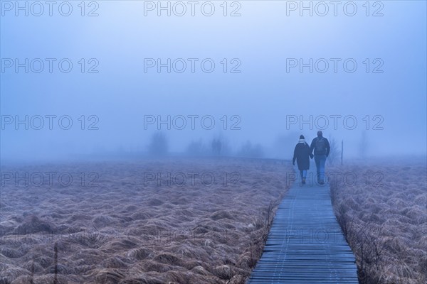 The High Fens nature park Park, in the German-Belgian border region near Eupen, winter, fog, wooden