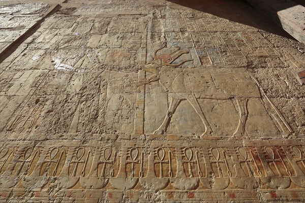 Part of the temple complex, pictorial representations, engravings on the walls, columns,