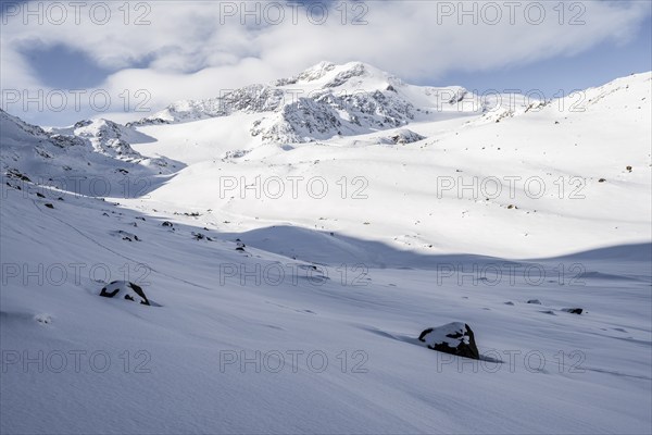 Snow-covered mountain landscape, mountain peak Monte Cevedale and glacier Zufallferner, Ortler