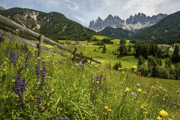 Geislerspitzen, Villnöss Valley, Sass Rigais, Dolomites, South Tyrol, Italy, Europe