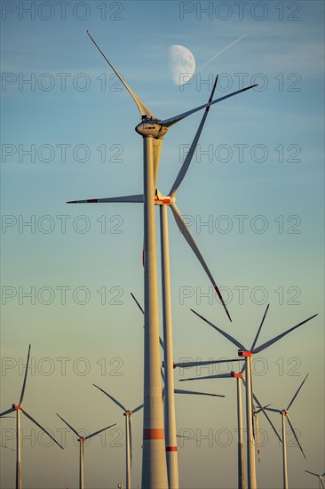 Wind farm near Bad Wünnenberg, Ostwestfalen Lippe, along the A44 motorway, North Rhine-Westphalia,