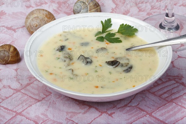 Baden cuisine, snail soup, typical Baden, vineyard snail shell, snail shells, parsley, spoon, soup